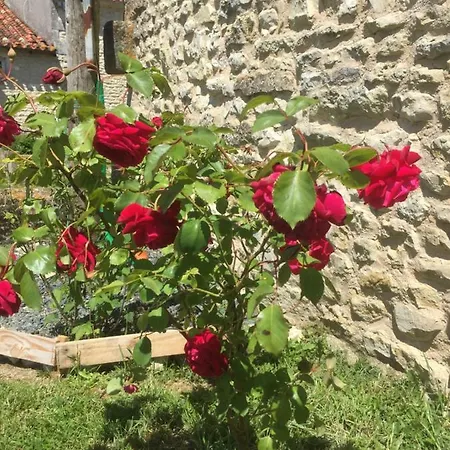 Holiday home Des Chouettes