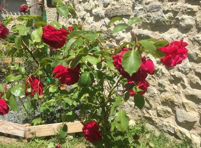 Сasa de vacaciones Des Chouettes